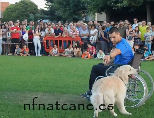 Exercício de trabalhos de assistência 2